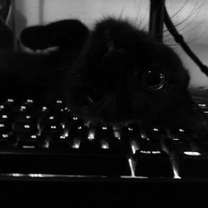 Meet your Posher, Darren